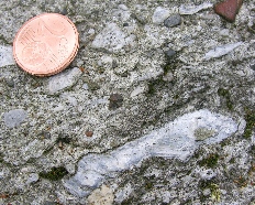 Fossilien am Gletschertopf in Scheffau