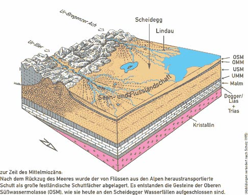 Melassezone des Ober- und Westallgäu zur Zeit des Untermiozäns