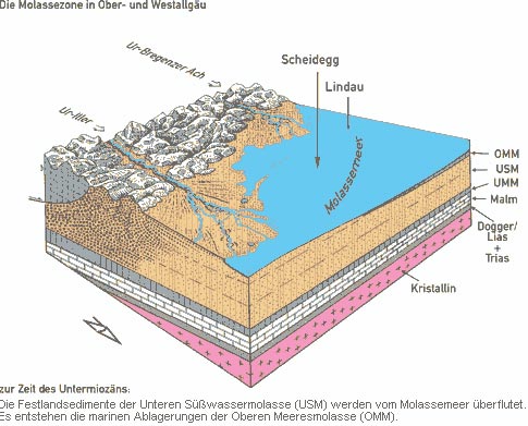 Melassezone des Ober- und Westallgäu zur Zeit des Mittelmiozäns