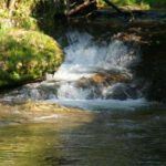 Scheidegger Wasserfälle im Westallgäu bei Scheidegg